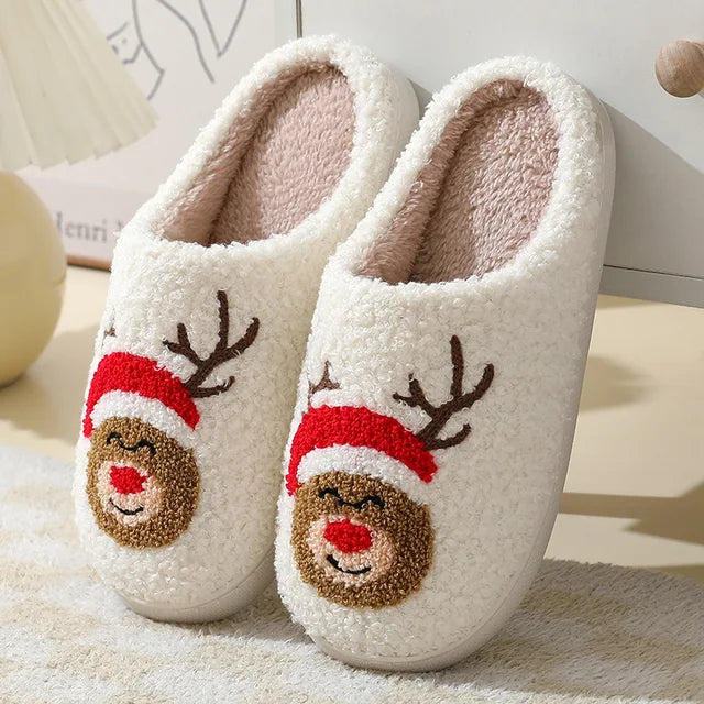 Winter Warmth Slippers